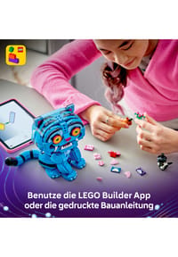 Bild 16