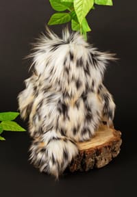 Bild 11