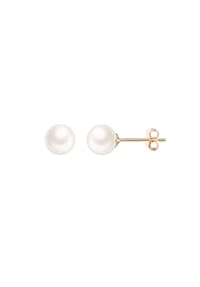 XENOX - Damen Ohrstecker, 375er Gelbgold - GELBGOLD