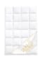 Goldmarie GOLDIE Winterbettdecke ''WARM'' - Made in Germany Winter-Kassettendecke Bild 13
