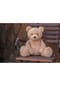 Steiff Soft Cuddly Friends Teddybär "Jimmy", 55 cm Bild 3