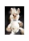 sigikid® Kuscheltier Uni Que, BeastsTown ,  für Erwachsene und Kinder Bild 11