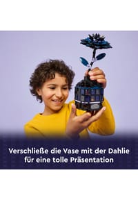 Bild 17