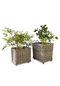 LOBERON Pflanzkorb 2er Set Gialousa braun - Amphoren - braun