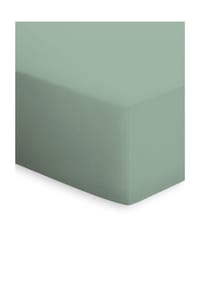 bassetti - Spannbettlaken BOXSPRING aus weicher Baumwollmischung - apricot