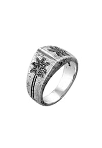 HAZE & GLORY - Ring Herren Siegelring - Coconut Society 925 Silber - Gold