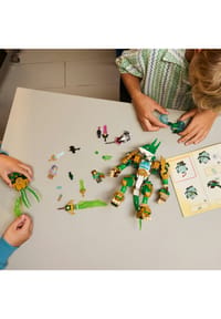 Bild 7