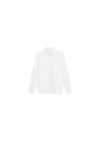 s.Oliver - Freizeithemd, Regular-Fit, Kent-Kragen, Langarm, für Herren - 89W0 BROWN