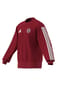 adidas Sweatshirt FC Bayern München, Rippbündchen, Unisex Bild 14