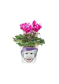 DONKEY - Blumentopf Flower Queen Small, H 10 cm - mehrfarbig