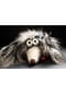 sigikid® Kuscheltier Duchess of Hampershire, BeastsTown ,  für Erwachsene und Kinder Bild 11