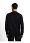 TOM TAILOR Langarmshirt, Stickerei, für Herren Bild 9