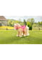 BABY born® My Cute Horse Bild 18