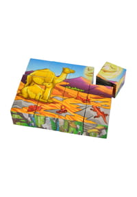 Bild 11