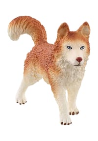 Schleich Wild Life Antarctic Expedition Playset With Igloo, Ranger, Huskies & Penguins - 3 Years+