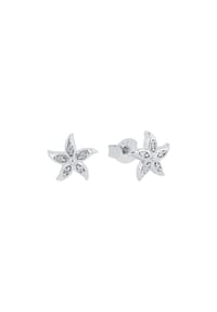 amor - Damen Ohrstecker "Seestern", 925er Silber - SILBER