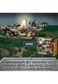 Bild 16