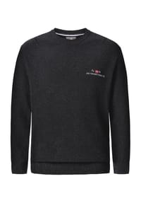 JAN VANDERSTORM - Pullover ALBREKT - dunkelgrau