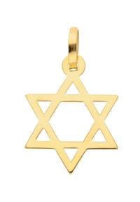 Adelia's - Damen Gold Schmuck 585 Gold Anhänger Davidstern - gold