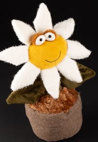 Bild 7