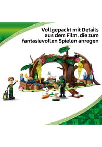 Bild 19