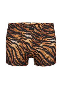 Manstore - Boxer M2577 Micro Pants - tiger