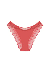 TRIUMPH - Crazy Stupid Love Brazilian Slip, Spitze, für Damen - 1203 BLOOD ORANGE