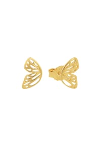 amor - Ohrstecker - Gold