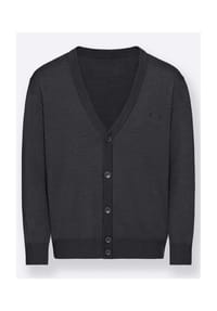 Witt - Cardigan - anthrazit-meliert