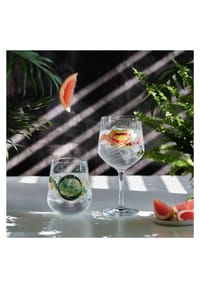 RITZENHOFF Gin-Glas-Set 2er – Botanic Lights, 700 Ml, Made In Germany