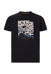 JAN VANDERSTORM - T-Shirt RANSTEIN - schwarz