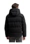 TOM TAILOR Puffer-Jacke, Stehkragen, für Herren Bild 11