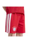 adidas Bekleidungs-Set FC Bayern München, Gummibund, für Kinder Bild 9
