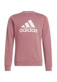 adidas Sweatshirt Logo Print fur Kinder GALERIA