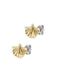EMPORIO ARMANI - Damen Ohrstecker - GELBGOLD