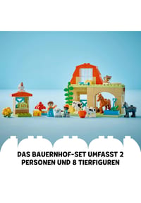 Bild 13