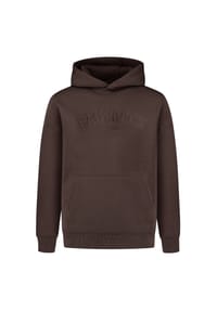 SMILODOX - Hoodie Levio - Braun