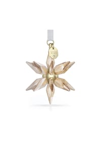 SWAROVSKI 3D Ornament - ANNUAL EDITIONS - SILBER