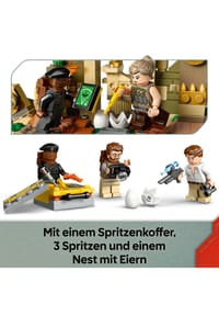 Bild 18