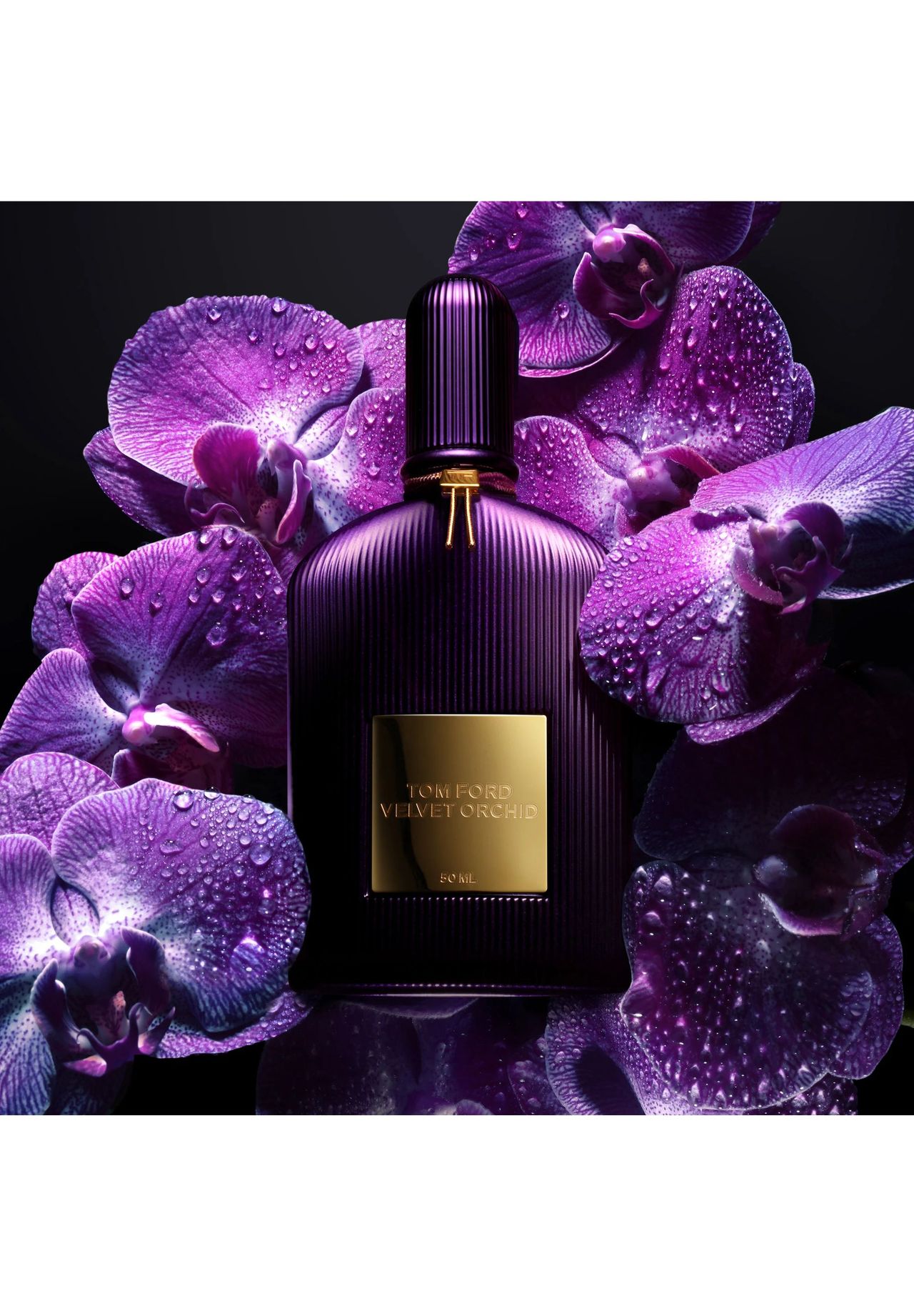 トムフォード TOMFORD VELVET ORCHID 50ml Velvet Orchid Eau de Parfum | TOM FORD BEAUTY