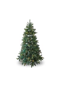 LOBERON Weihnachtsbaum Helford grün - Christbaum - grün