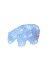 näve Leuchten - Weihnachtsartikel EISBÄR mit LED Platine - weiß