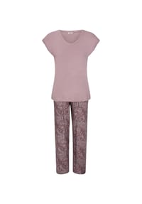 GOLDENBAY - Pyjama Allium - Damson Plum