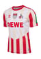 hummel® Heimtrikot 1.FC Köln 2023/24, Karnevals-Edition, für Kinder Bild 9
