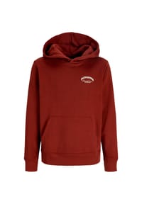 JACK & JONES - Kapuzenpullover BRANDES Hoodie - blau
