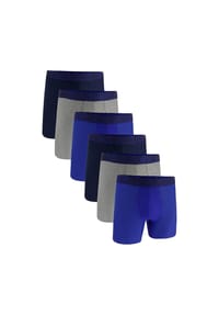 UNDER ARMOUR - Herren Boxershorts, 6er Pack - Performance Tech Boxer Briefs, Stretch, einfarbig - Blau/Grau