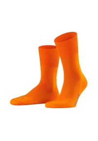 FALKE - Run Socken, leichte Plüschsohle, verstärkte Belastungszonen - 1383 SUN