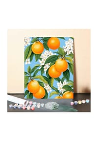 ARTNANAS - ARTNANAS DIY Malen nach Zahlen Set-"Orangenblüte" ohne Rahmen in 40*50CM - 