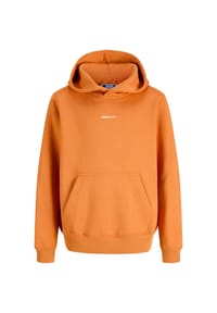 JACK & JONES - Kapuzenpullover NORREBRO Hoodie - grau