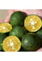 SHISEIDO WASO Shikulime Gel-to-Oil Cleanser Bild 5
